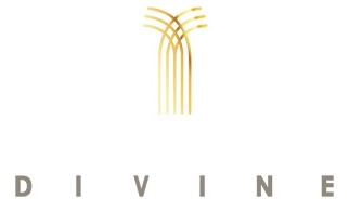 Фото Divine