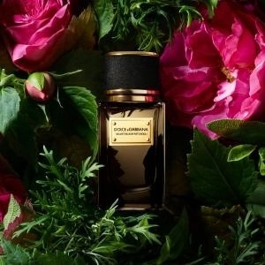 Фото Dolce & Gabbana Velvet Black Patchouli