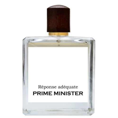 Фото Prime Minister Reponse Adequate