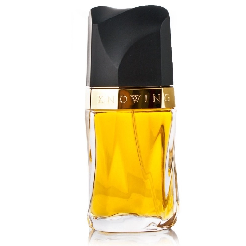 Фото Estée Lauder Knowing