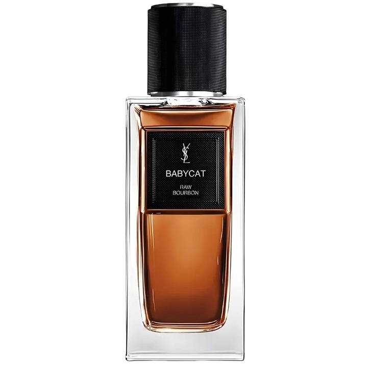 Фото Yves Saint Laurent Babycat Raw Bourbon