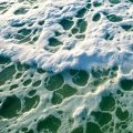 Морская пена