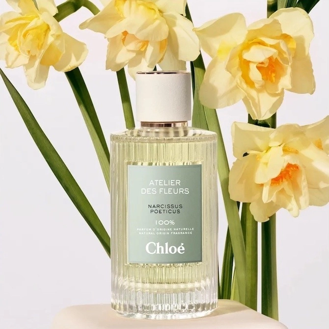 Фото Chloé Narcissus Poeticus