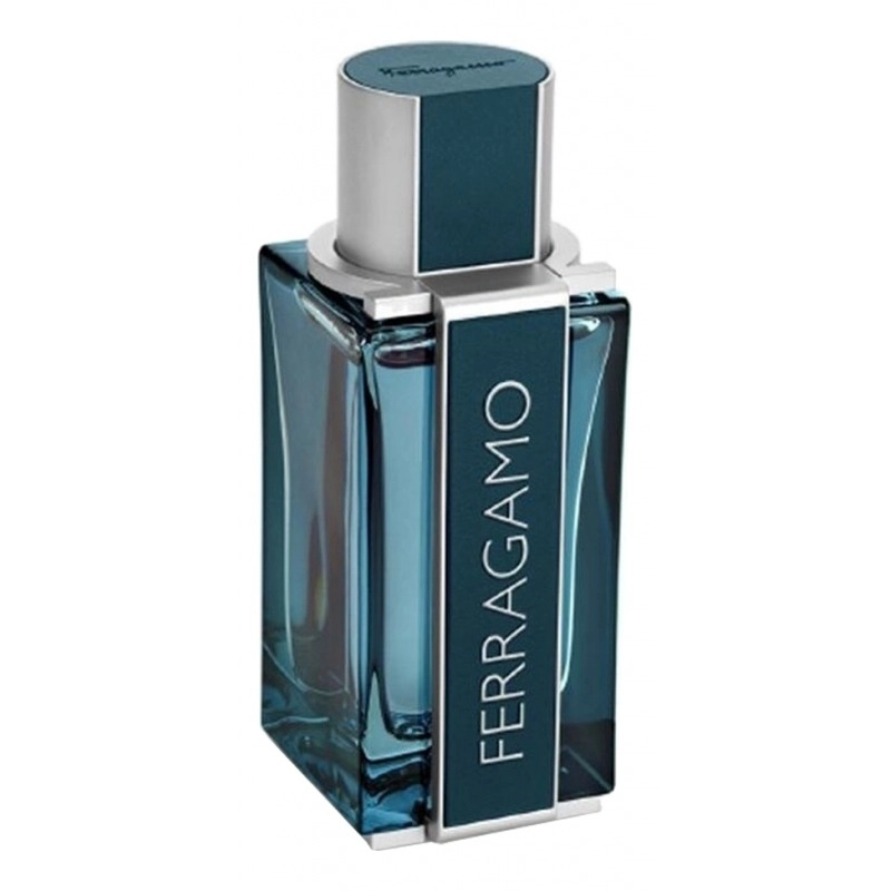 Фото Salvatore Ferragamo Intense Leather