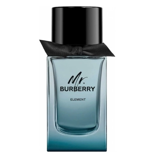 Фото Mr. Burberry Element