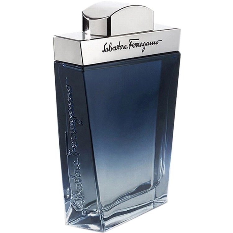 Фото Salvatore Ferragamo Subtil Pour Homme
