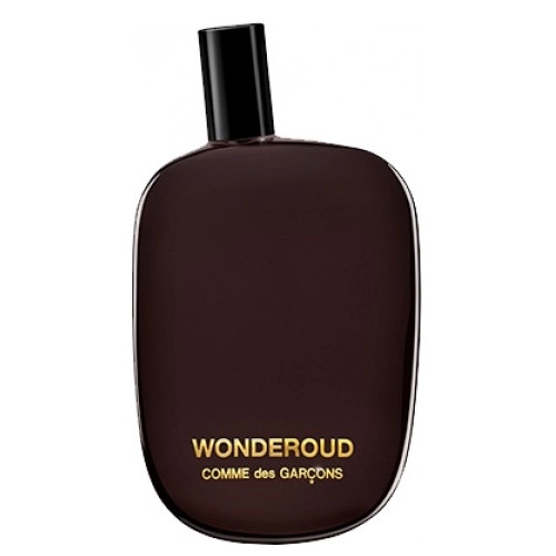 Фото Comme des Garçons Wonderoud
