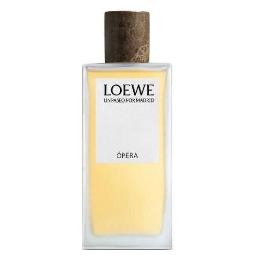 Фото Loewe Opera
