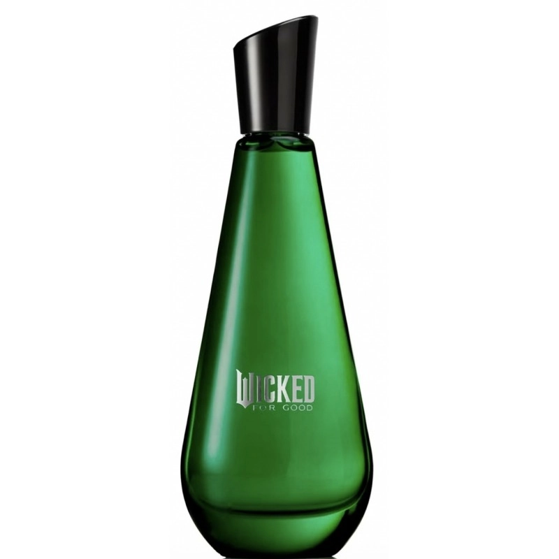 Фото Ariana Grande Wicked For Good – Elphaba Enchanted