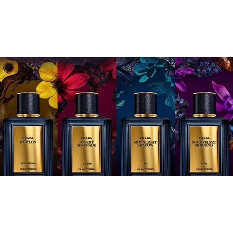 Фото Prada Olfactories Dark Light
