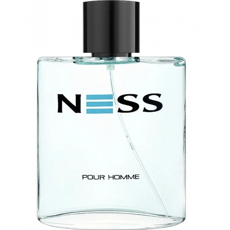 Фото Evaflor Ness pour Homme