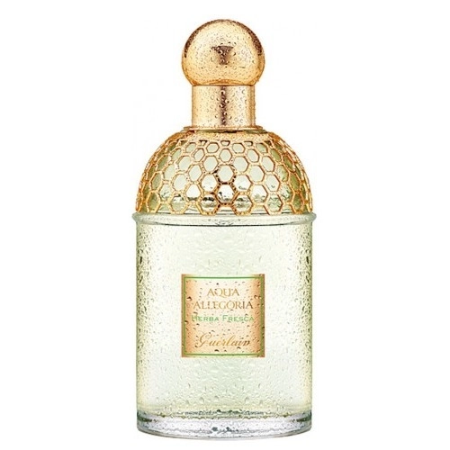 Фото Guerlain Aqua Allegoria Herba Fresca