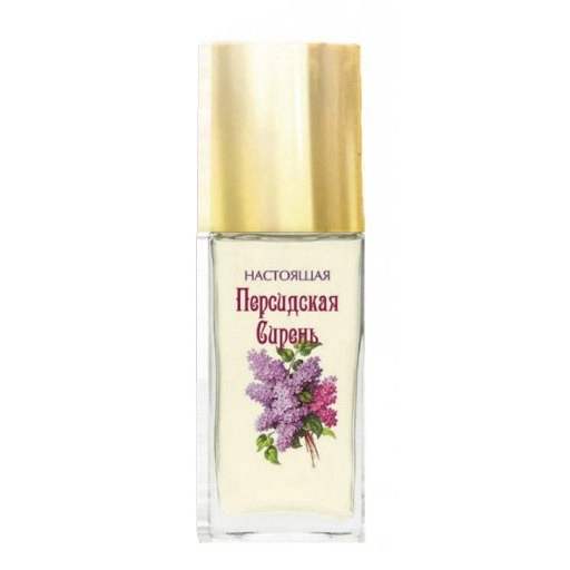 Фото Novaya Zarya (Новая Заря) Настоящая Персидская Сирень (True Persian Lilac)