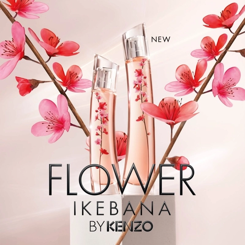 Фото Flower Ikebana by Kenzo