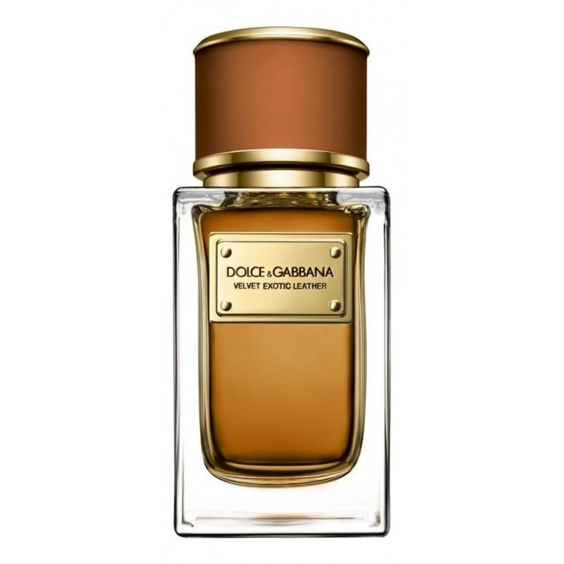 Фото Dolce & Gabbana Velvet Exotic Leather