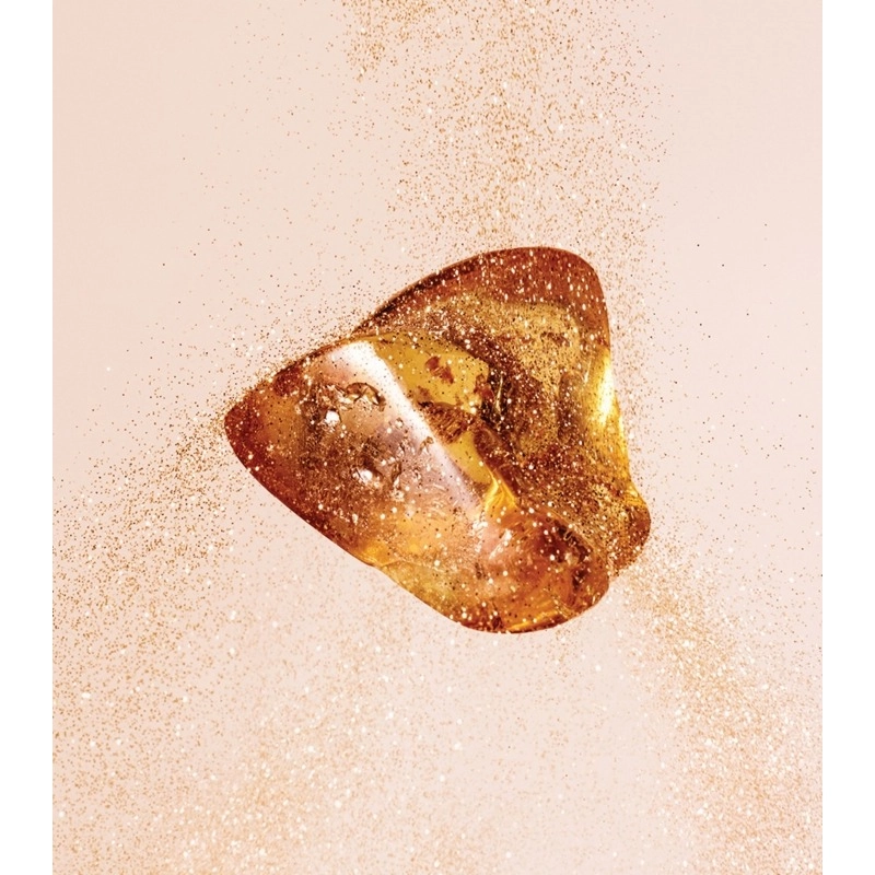 Фото Jimmy Choo Amber Kiss