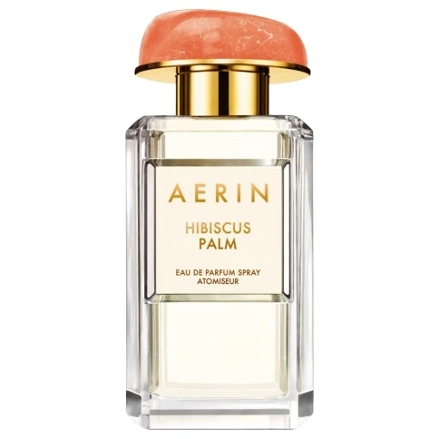 Фото AERIN Hibiscus Palm