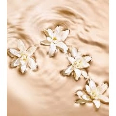 Фото Jimmy Choo Radiant Tuberose
