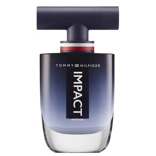 Фото Tommy Hilfiger Impact Intense