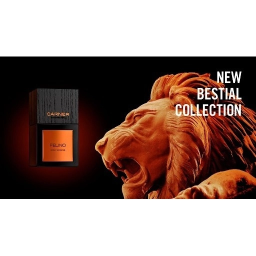 Фото Carner Barcelona Bestium