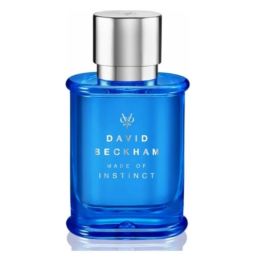 Фото David Beckham Made of Instinct
