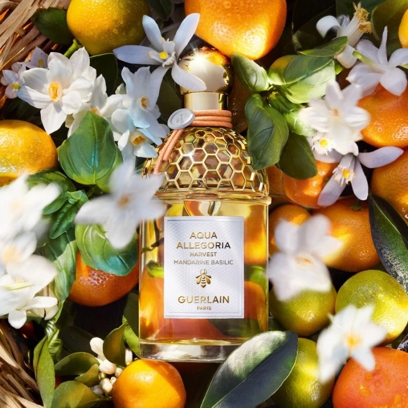 Фото Guerlain Mandarine Basilic Harvest