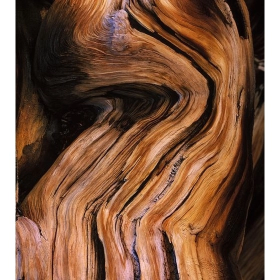 Фото Onno Bois d'Ambre