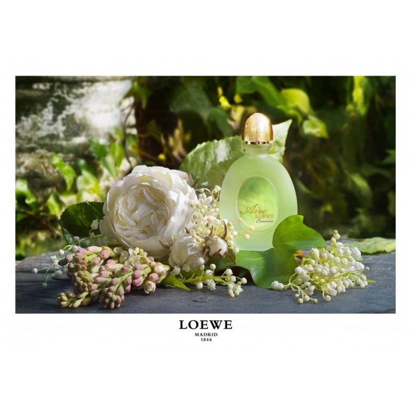 Фото Loewe Aire Evasion