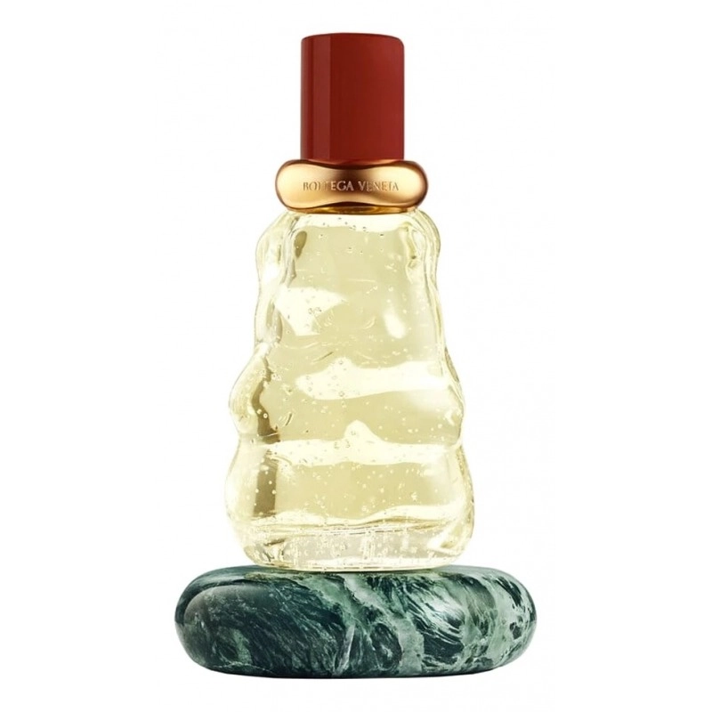 Фото Bottega Veneta Come With Me