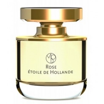 Фото Mona di Orio Rose Etoile de Hollande