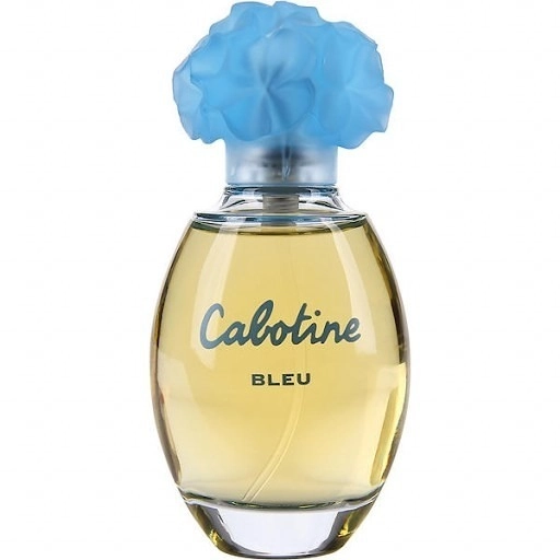 Фото Grès Cabotine Bleu