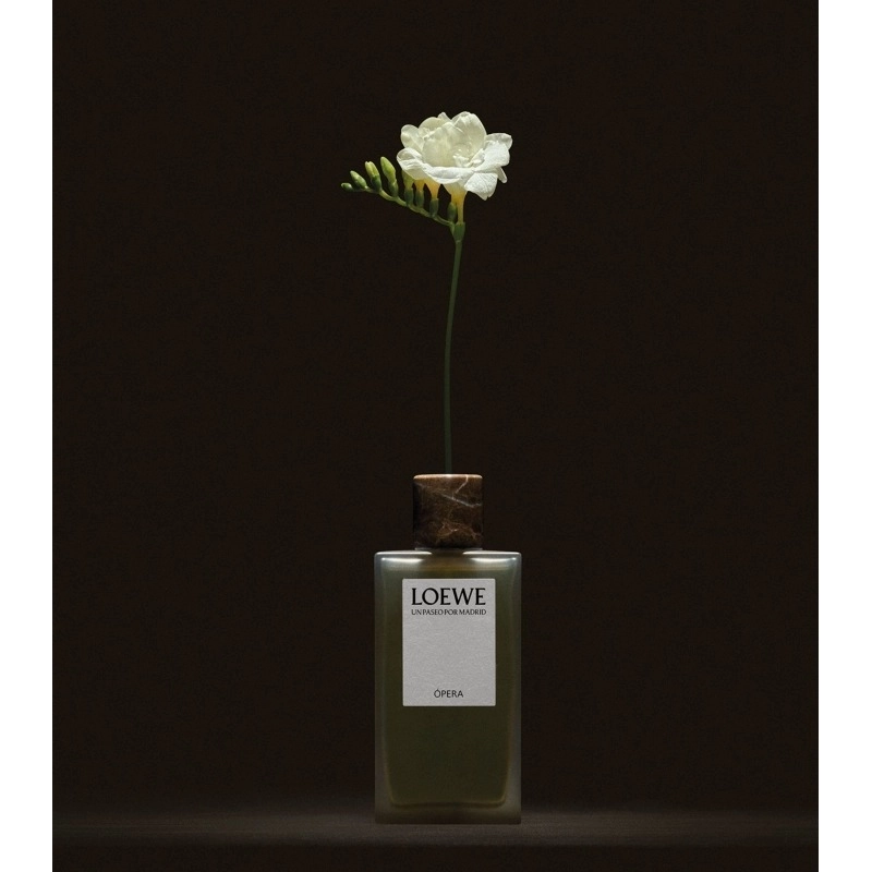 Фото Loewe Opera