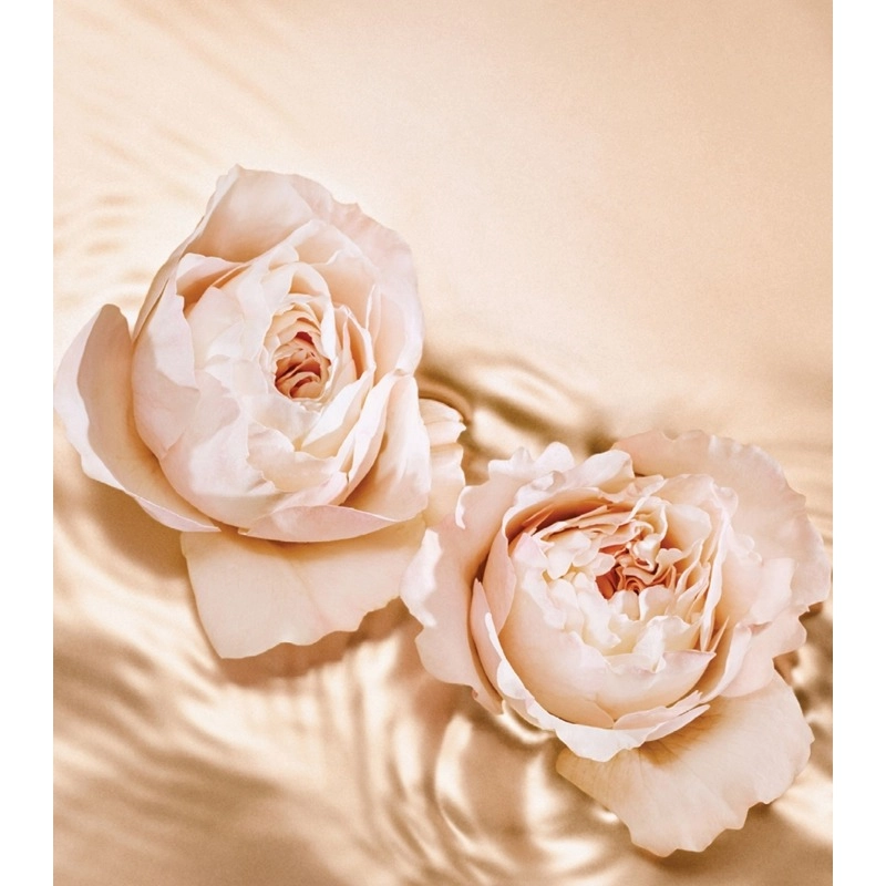 Фото Jimmy Choo Tempting Rose