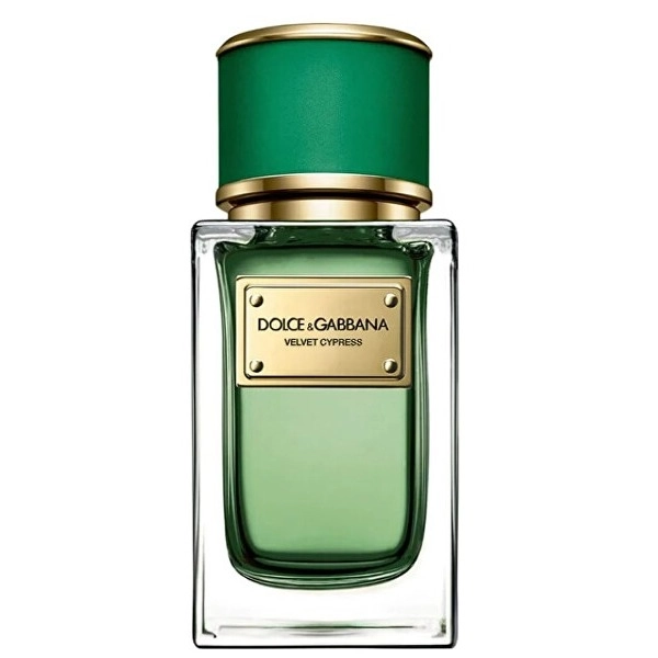 Фото Dolce & Gabbana Velvet Cypress
