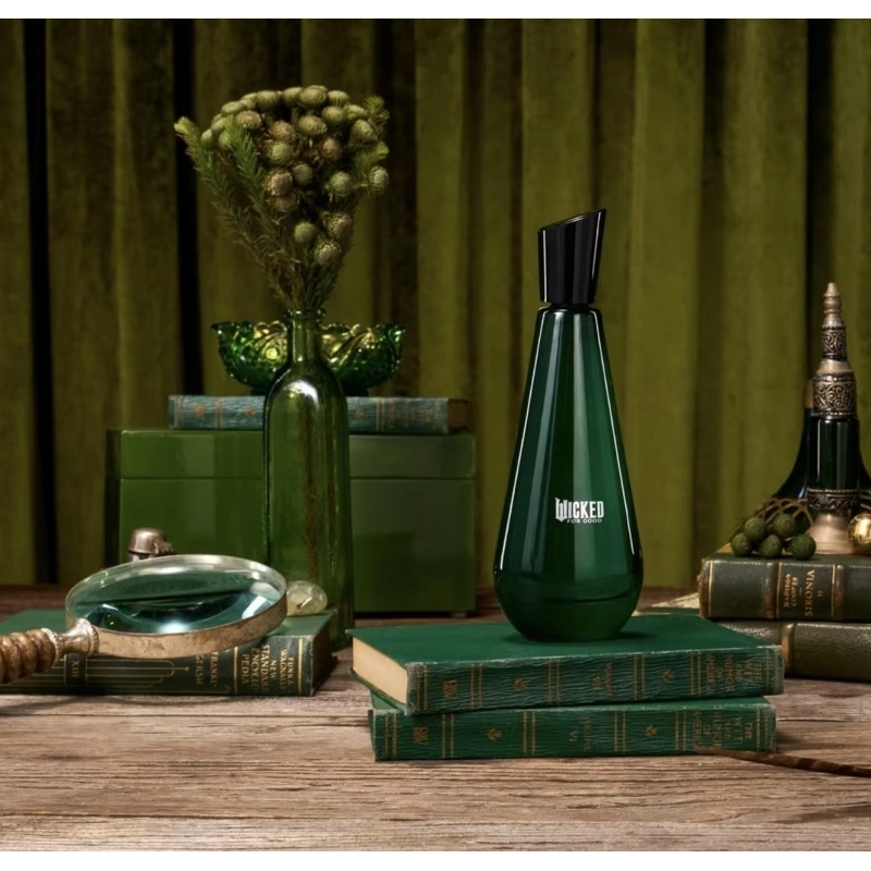 Фото Ariana Grande Wicked For Good – Elphaba Enchanted