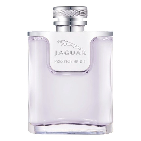Фото Jaguar Prestige Spirit