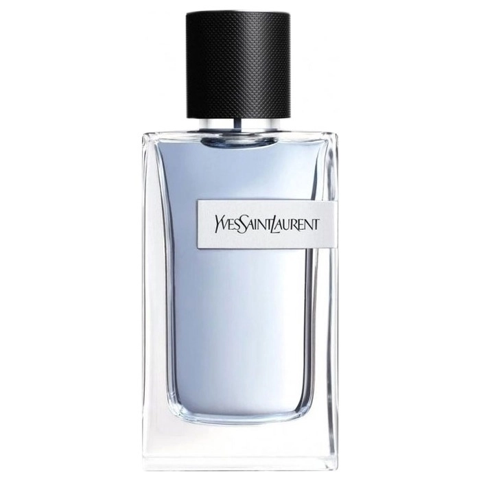 Фото Yves Saint Laurent Y