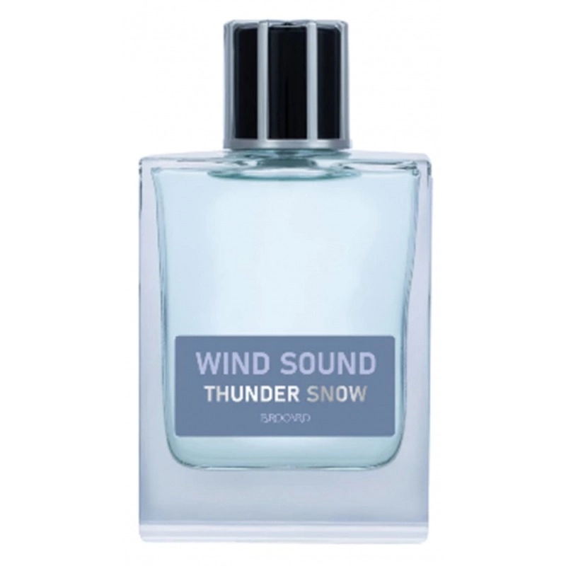 Фото Brocard Wind Sound Thunder Snow