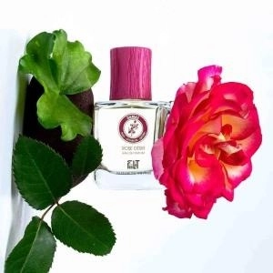Фото Fiilit Rose Desir - Damas
