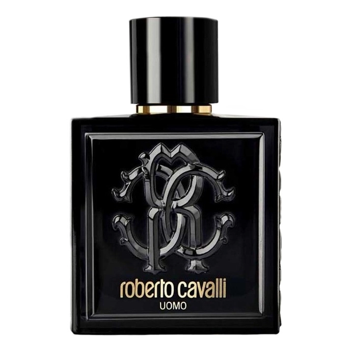 Фото Roberto Cavalli Uomo