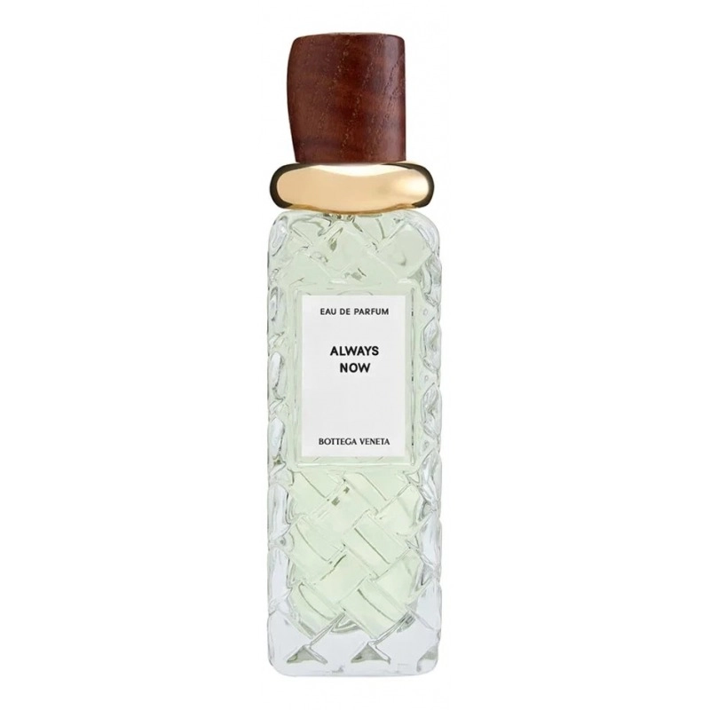 Фото Bottega Veneta Always Now