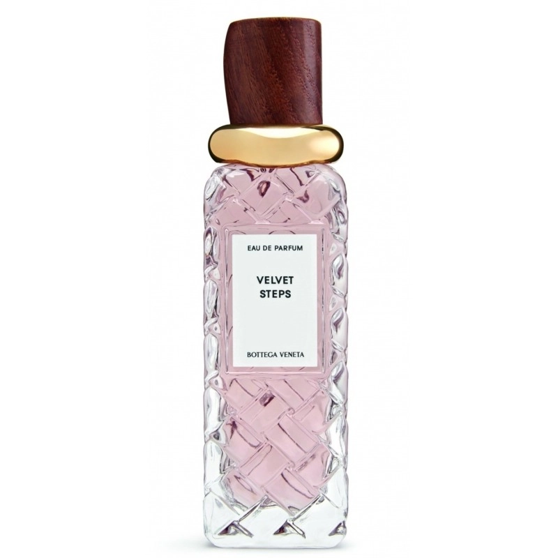 Фото Bottega Veneta Velvet Steps