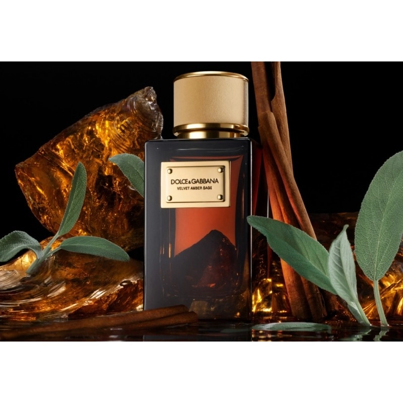Фото Dolce & Gabbana Velvet Amber Sage