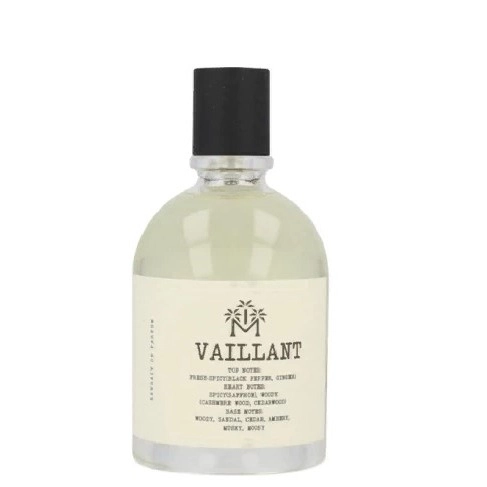Фото Moudon Vaillant