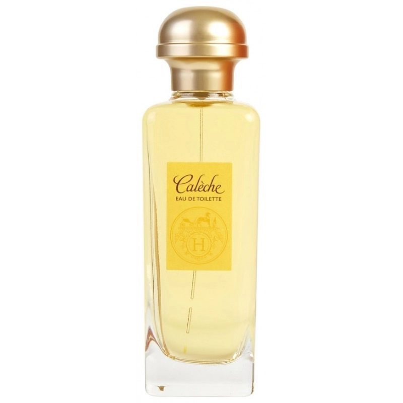 Фото Hermès Caleche