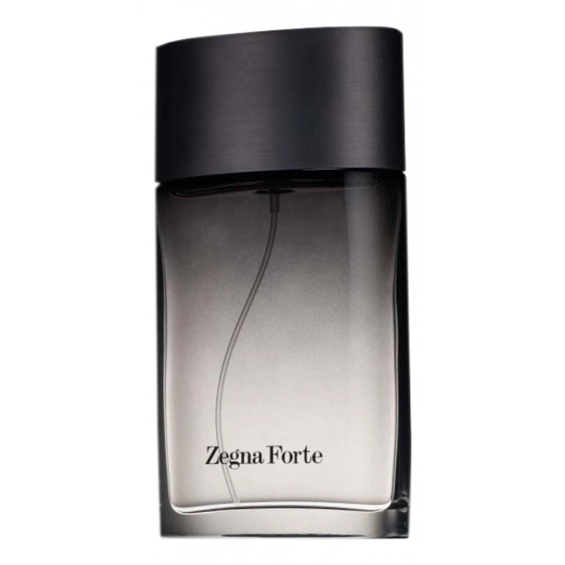 Фото Ermenegildo Zegna Forte