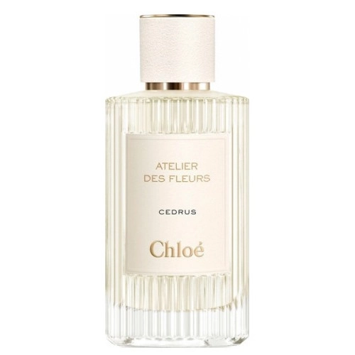 Фото Chloé Atelier Des Fleurs Cedrus