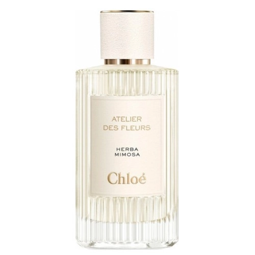 Фото Chloé Atelier Des Fleurs Herba Mimosa