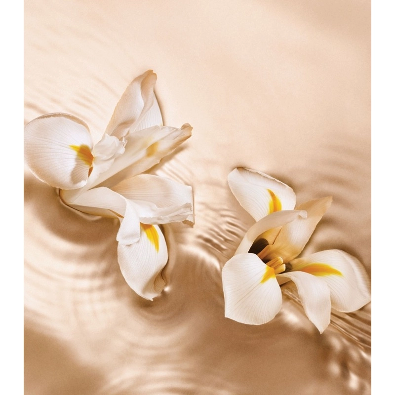 Фото Jimmy Choo Iris Crush
