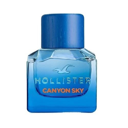 Фото Hollister Canyon Sky For Him